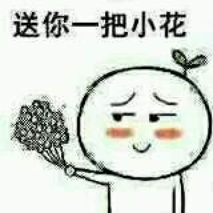 送你小花.jpg